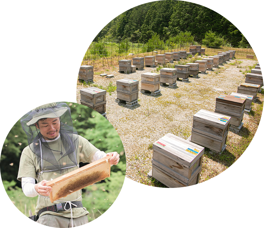 こだわりの岐阜県産純粋はちみつ